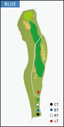 1HOLE PAR5